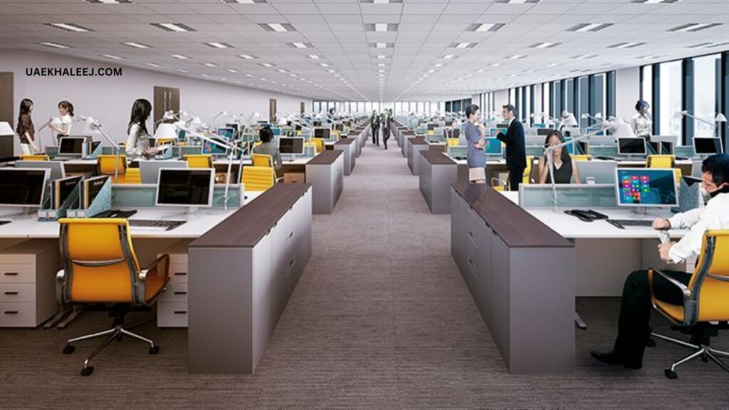 Al Hilal Bank Building Efficient Interior Layout