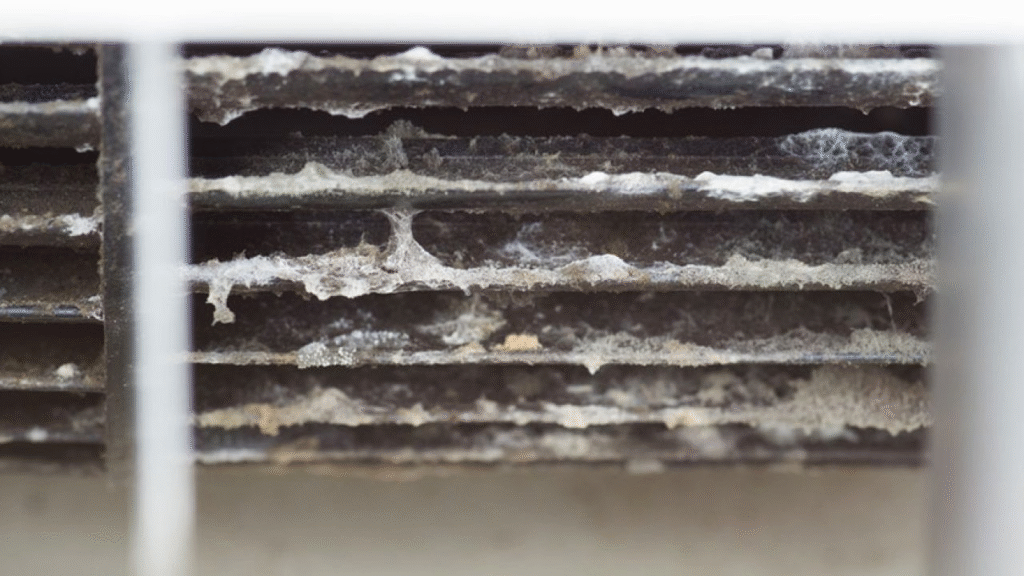 Possible causes Mold or bacteria buildup in the AC evaporator