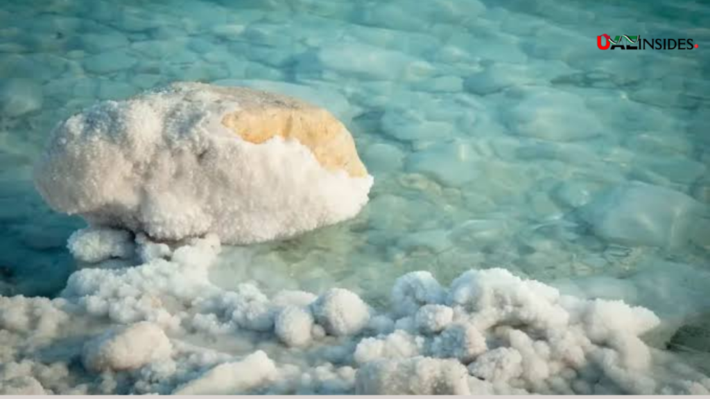 Al Wathba Salt Lake Abu Dhabi 2026